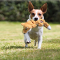 Preview: Hundespielzeug KONG® Scrunch Knots Fuchs 40 cm
