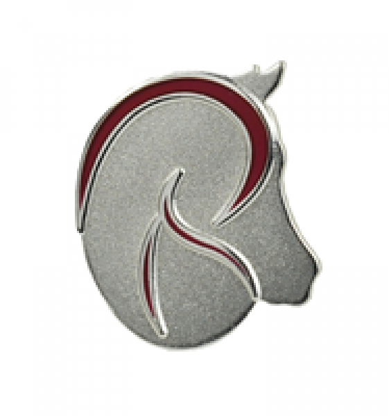 Pin "RUBIN ROSS"