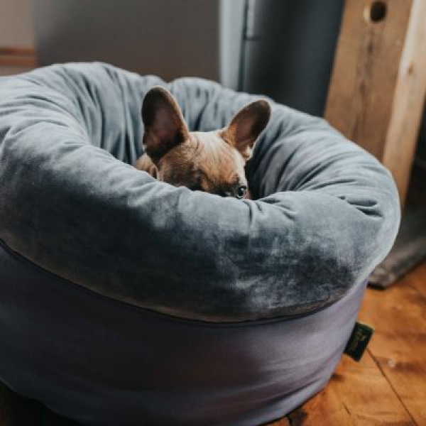 Hunde- und Katzenschlafplatz Miranda Ø 50 cm, anthrazit